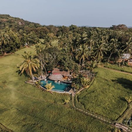 Nelu Resort シギリヤ エクステリア 写真