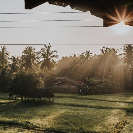 Nelu Resort シギリヤ エクステリア 写真