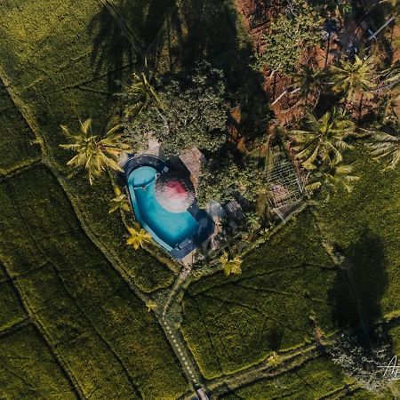 Nelu Resort シギリヤ エクステリア 写真