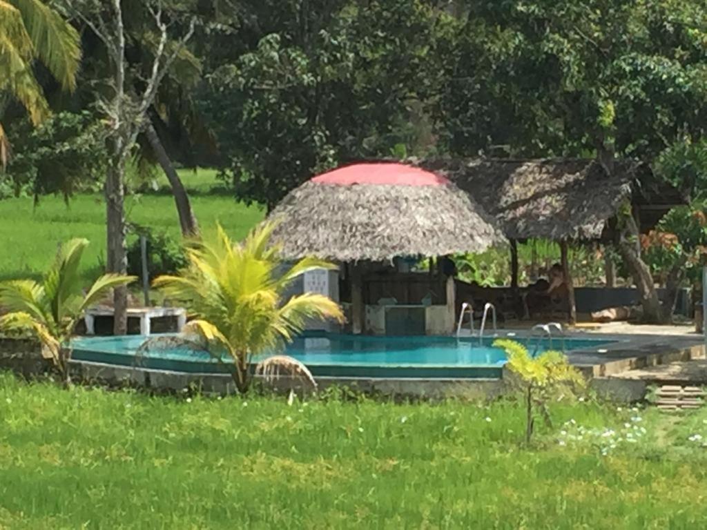 Nelu Resort シギリヤ エクステリア 写真