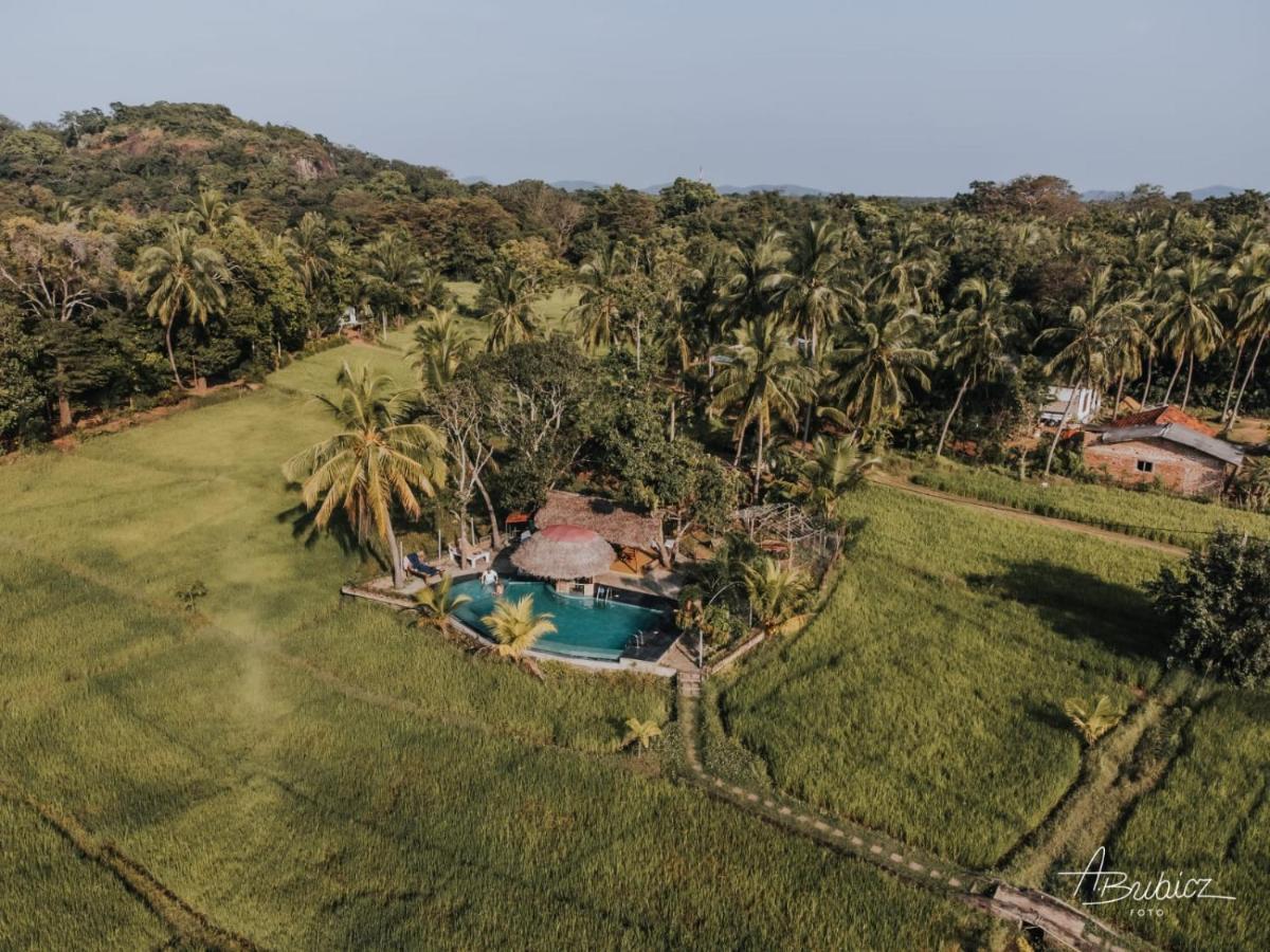 Nelu Resort シギリヤ エクステリア 写真