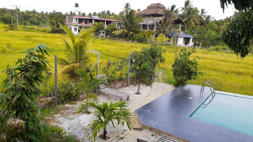 Nelu Resort シギリヤ エクステリア 写真