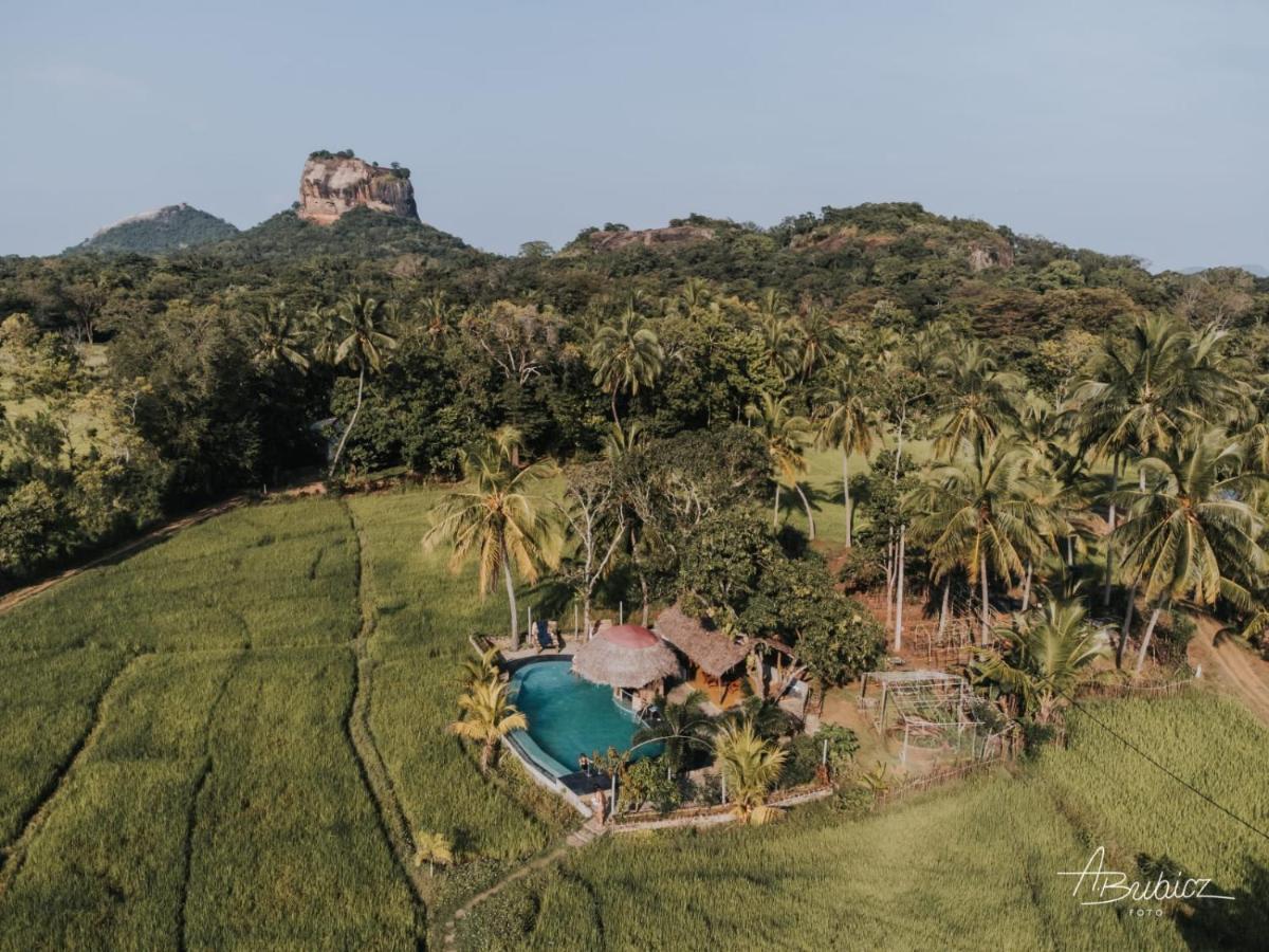 Nelu Resort シギリヤ エクステリア 写真